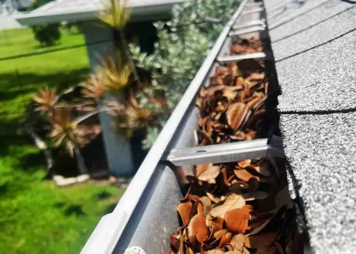 Pleasant Grove gutter cleaning home page